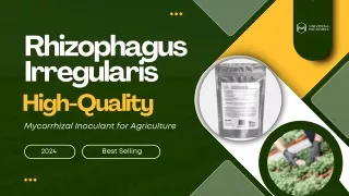 Affordable Rhizophagus Irregularis – Manufacturer Prices for Bulk Orders