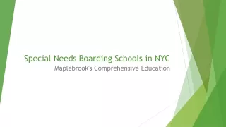 Special Needs Boarding Schools in NYC | Maplebrook's Comprehensive Education