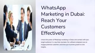 whatsapp marketing dubai