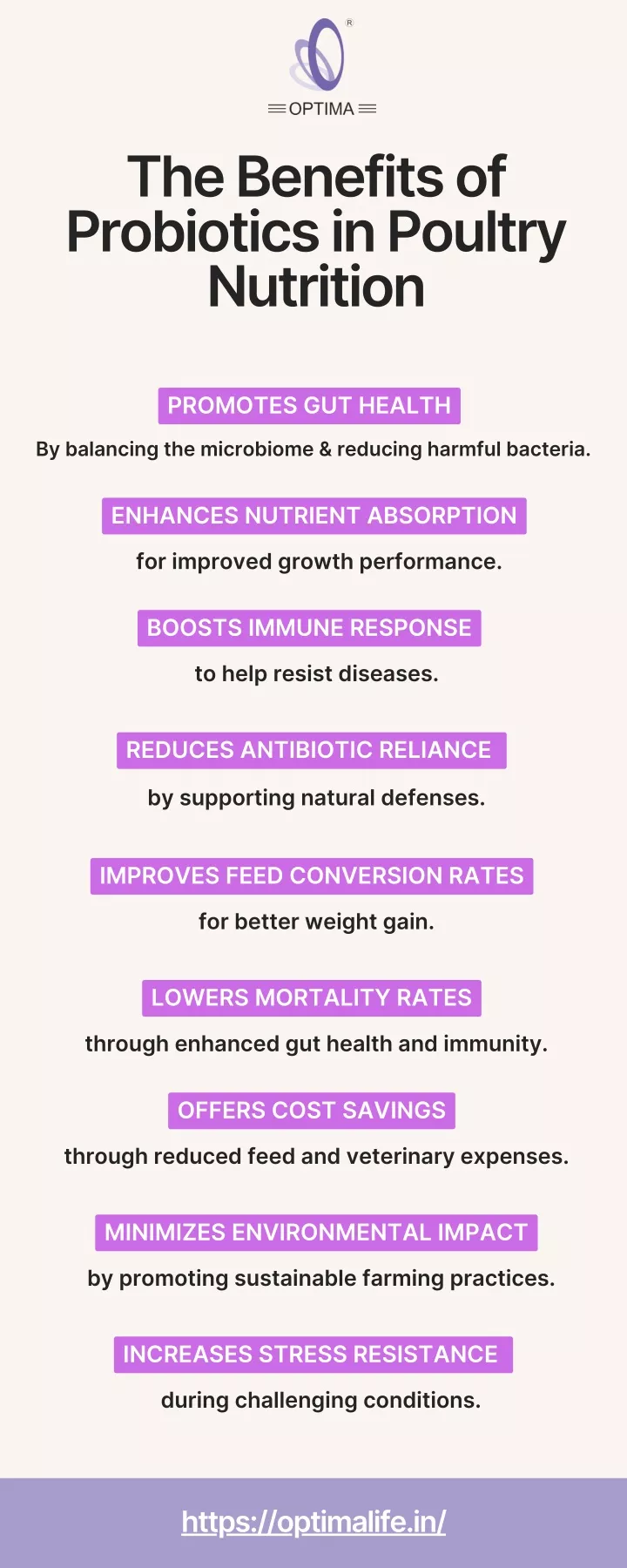 the benefits of probiotics in poultry nutrition