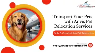 Reliable Pet Transportation Services | Safe & Comfortable Pet Relocation