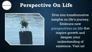 Perspective On Life