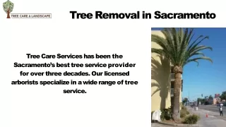 Tree Emergency Services in Sacramento | Fast & Reliable Tree Removal