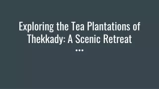 Exploring the Tea Plantations of Thekkady_ A Scenic Retreat