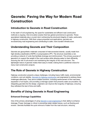 geonets paving the way for modern road