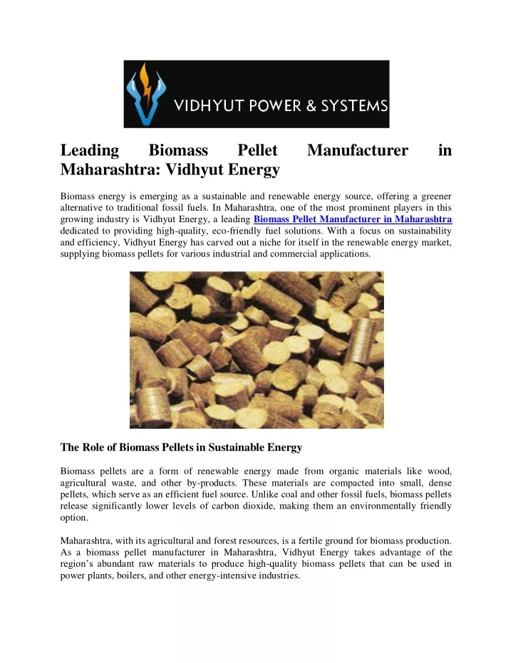 leading maharashtra vidhyut energy