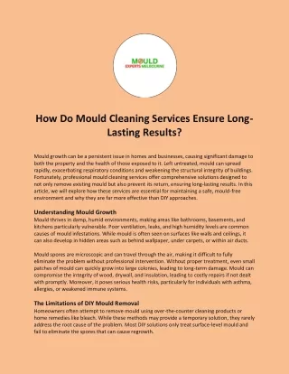 How Do Mould Cleaning Services Ensure Long-Lasting Results?