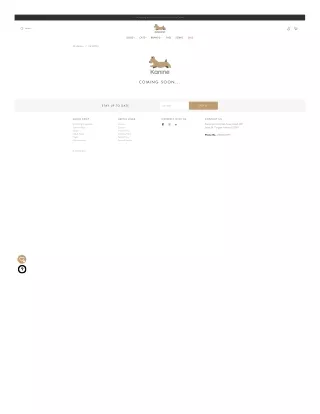 Online Cat Litter Accessories in India | cat-litter-accessories
