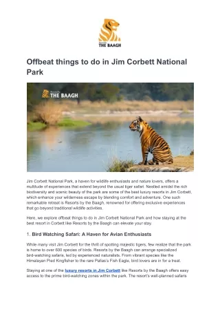 Offbeat things to do in Jim Corbett National Park