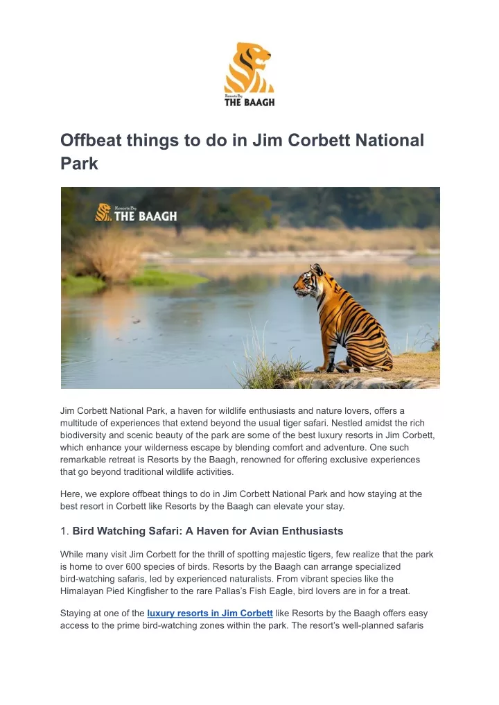 offbeat things to do in jim corbett national park