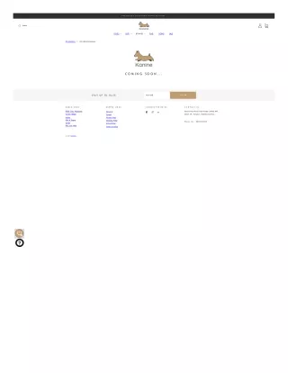 Online Cat Litter Accessories in India | cat-litter-accessories
