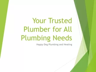 Your Trusted Plumber for All Plumbing Needs - Happy Dog Plumbing