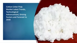 2023-2029 Global Cotton Linter Pulp Industry Research & Trends Analysis Report
