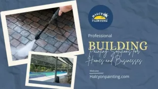 Professional Building Painting Solutions for Homes and Businesses