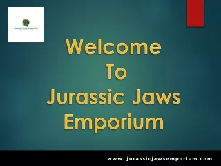 Dinosaur toys near me - Jurassic Jaws Emporium