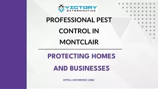 Professional Pest Control in Montclair _ Protecting Homes and Businesses