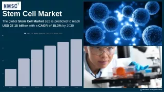 stem cell market