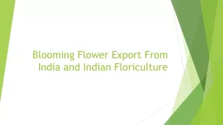 Blooming Flower Export From India and Indian Floriculture