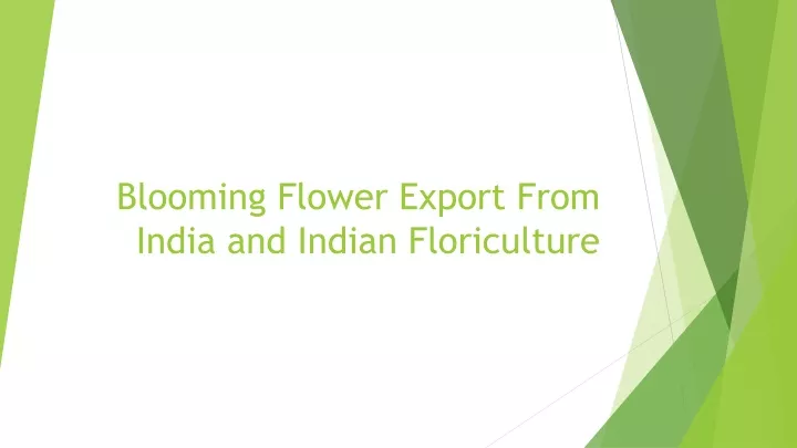 blooming flower export from india and indian