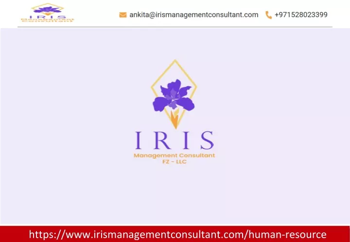 https www irismanagementconsultant com human