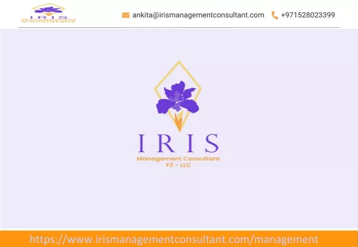 https www irismanagementconsultant com management