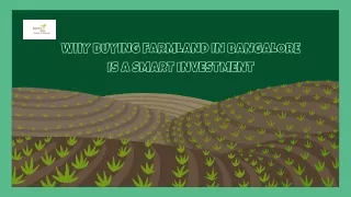 Why Buying Farmland in Bangalore is a Smart Investment