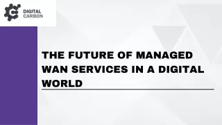 The Future of Managed WAN Services in a Digital World