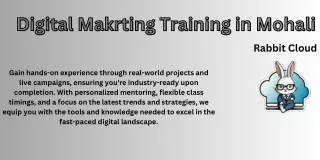 digital makrting training in mohali digital