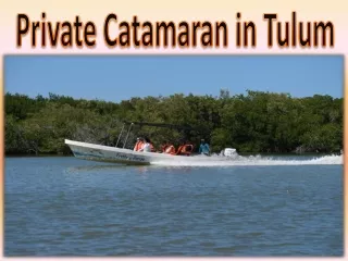 Private Catamaran in Tulum