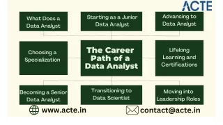 The Career Path of a Data Analyst