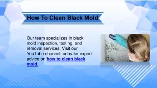 How To Clean Black Mold