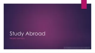 study abroad