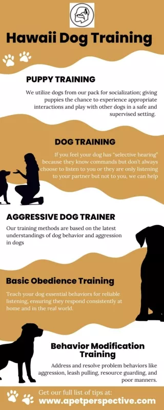 Hawaii Dog Training