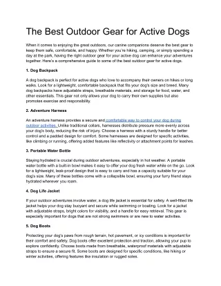 The Best Outdoor Gear for Active Dogs