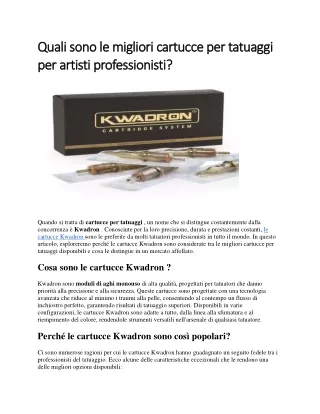 Quali sono le migliori cartucce per tatuaggi per artisti professionisti