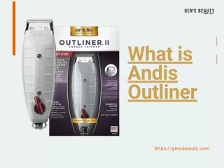 What is Andis Outliner?