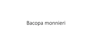 bacopa monnieri