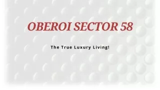 oberoi sector 58