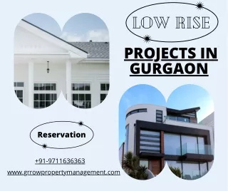 low rise
