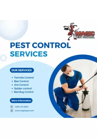 Effective Pest Control Services at Magic Pest Control in Gilbert, Queen Creek,