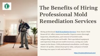 The Benefits of Hiring Professional Mold Remediation Services