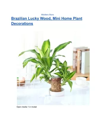 Brazilian Lucky Wood, Mini Home Plant Decorations