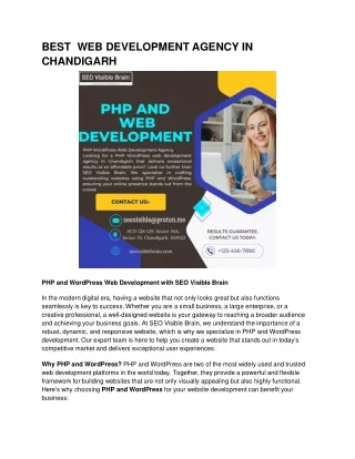 BEST WEB DEVELOPMENT AGENCY IN CHANDIGARH