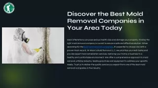 Discover the Best Mold Removal Companies in Your Area Today