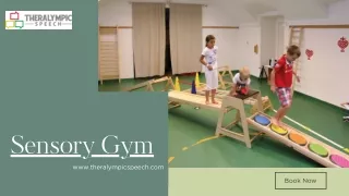 Sensory Gym: Occupational Therapy for Children with Sensory Processing Needs