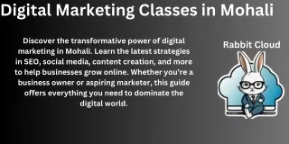 digital marketing classes in mohali