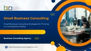 small business consulting