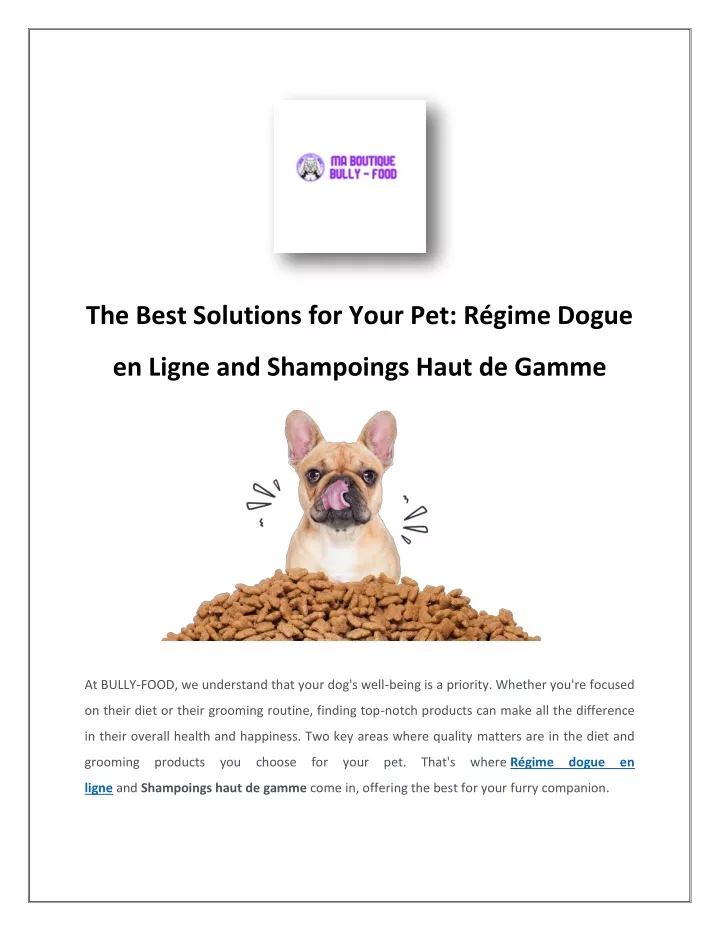 the best solutions for your pet r gime dogue