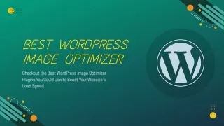 best wordpress image optimizer