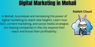 Digital Marketing in Mohali: Your Path to Success in the Digital Era